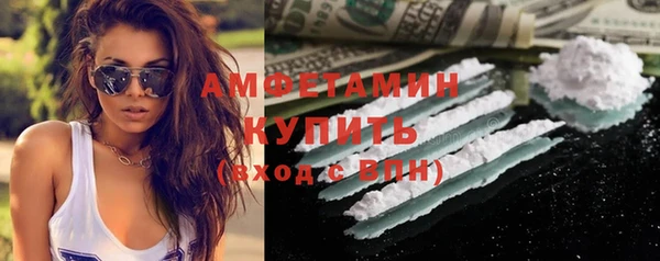 прущие грибы Беломорск