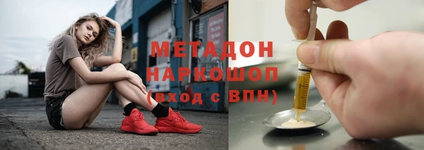 прущие грибы Беломорск