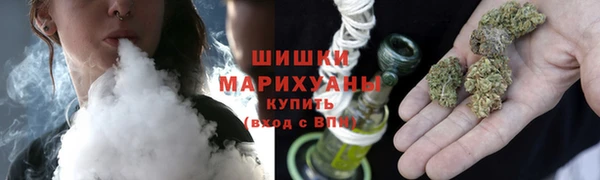 прущие грибы Беломорск