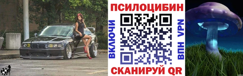 Псилоцибиновые грибы мицелий  Купить где  Меленки 